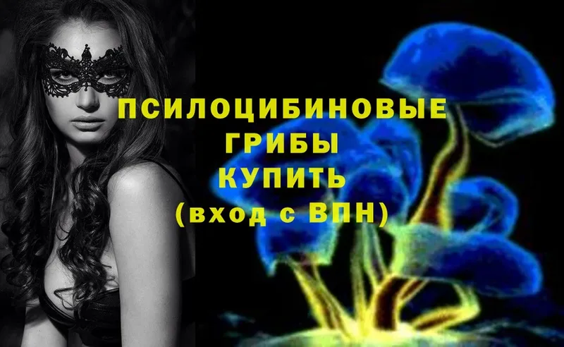 Галлюциногенные грибы Psilocybe  МЕГА рабочий сайт  Кизел 